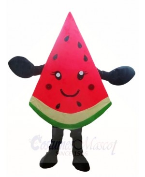 Watermelon Slice Mascot Costumes Fruit