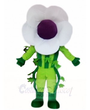 White Flower Mascot Costumes Plant