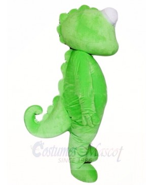 Wild Green Cabrite Lizard Mascot Costumes Animal