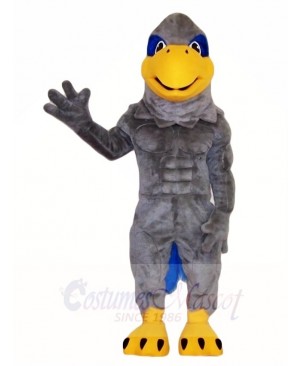 Gray Hawk Mascot Costumes Bird Animal 