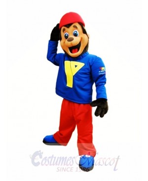 Brown Bear Mascot Costumes