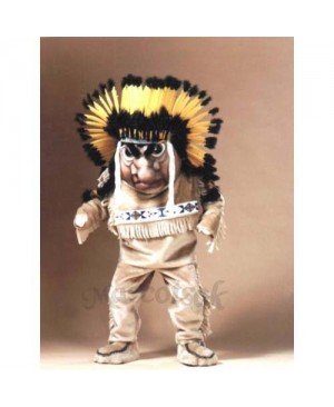 Indian Mascot Costume