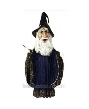 Wizard Mascot Costume