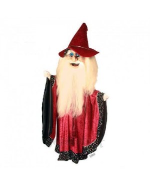 Merlin Wizard Mascot Costume