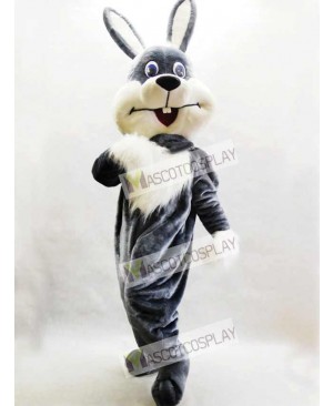 Gray Bunny Easter Rabbit Hare Mascot Costume