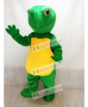 Green Turtle Mascot Costume