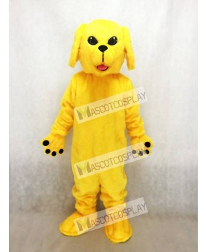 Cute Golden Lab Dog Mascot Costume