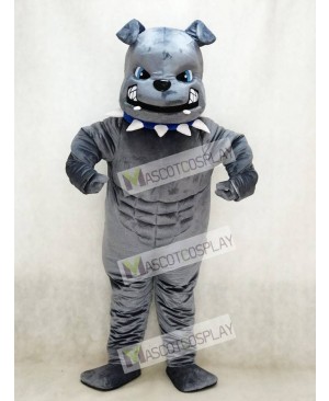 New Blue Eyes Grey Bulldog Mascot Costume