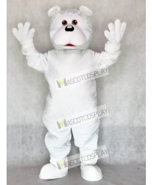 White Bear Adult Mascot Costume