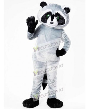 North American Raccoon Mascot Costume