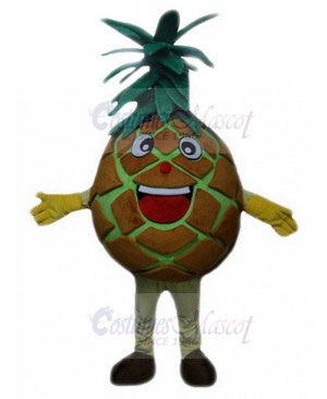 Pineapple mascot costume