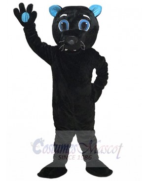 Sir Purr of the Carolina Panthers Mascot Costume Black Panther