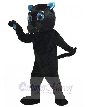 Sir Purr of the Carolina Panthers Mascot Costume Black Panther