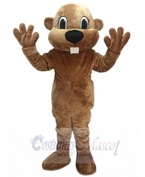 Alex the Beaver Mascot Costume Animal