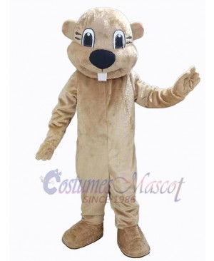 Beaver mascot costume