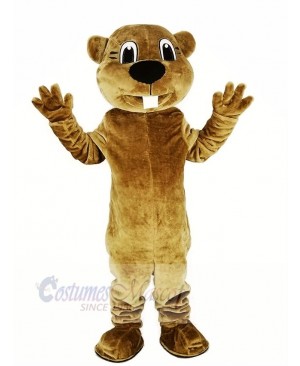 Brown Beaver Mascot Costume Animal Adult