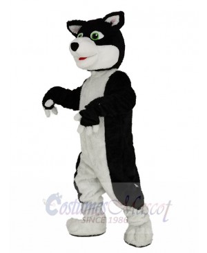 Black and White Border Collie Dog with Green Eyes Mascot Costume