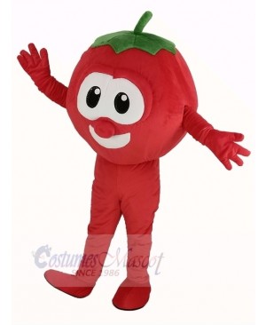 VeggieTales Character Tomato Bob Mascot Costume Cartoon