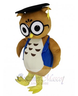 Owl mascot costume