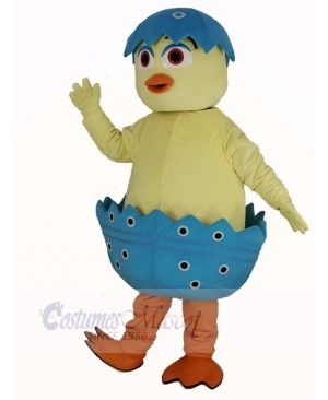 Cute Chick in Egg Mascot Costume