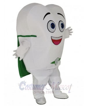 Tooth mascot costume