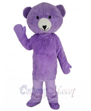 Teddy Bear mascot costume