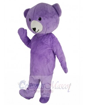 Teddy Bear mascot costume