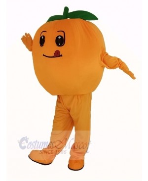 Orange Fruit Mascot Costume