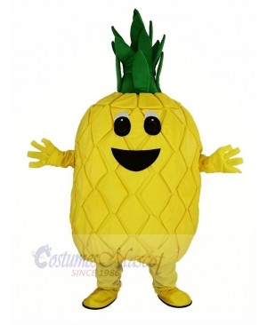 Pineapple Fruit Mascot Costume Cartoon	