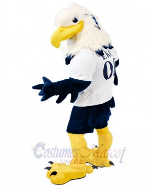 Eagle mascot costume