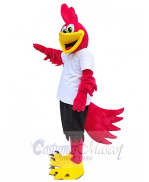 Roadrunner Bird mascot costume