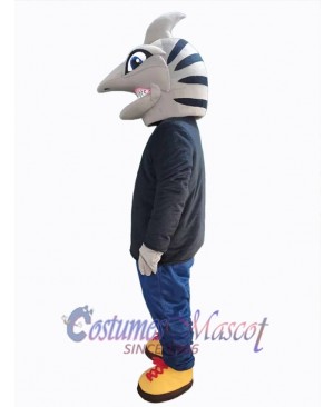 Shark mascot costume