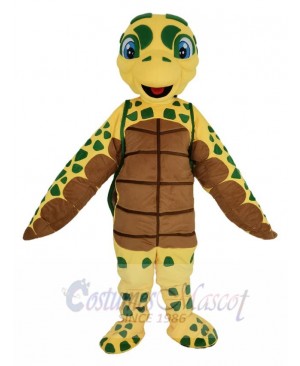 Turtle mascot costume