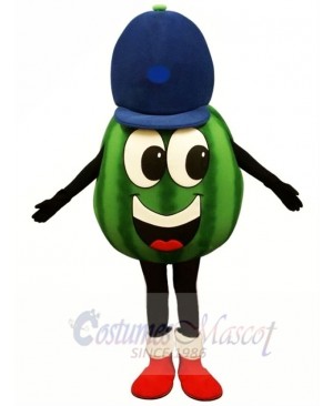 Madcap Watermelon Lightweight Mascot Costume 