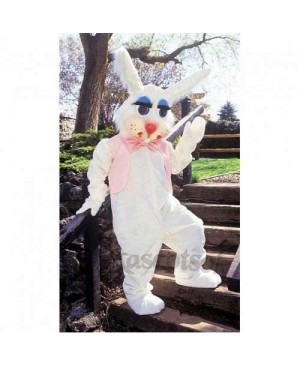 Peter Rabbit Bunny Mascot Costume