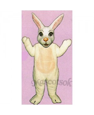 Easter Mr. Bunny Mascot Costume