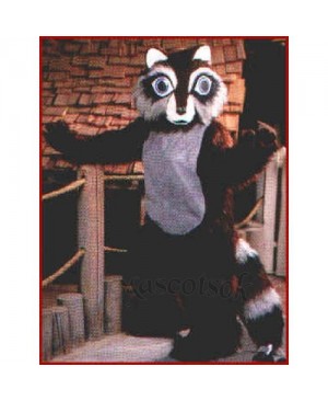 Cute Raccoon Mascot Costume