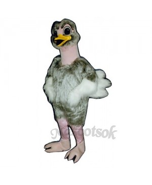 Cute Realistic Ostrich Mascot Costume