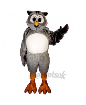 Cute Mr. Owl Mascot Costume