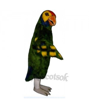 Cute Parrot Mascot Costume