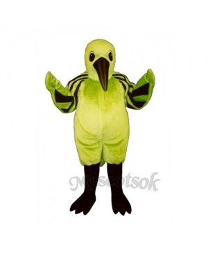 Cute Hummingbird Mascot Costume