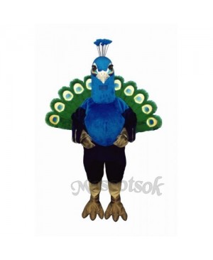 Cute Peacock Mascot Costume