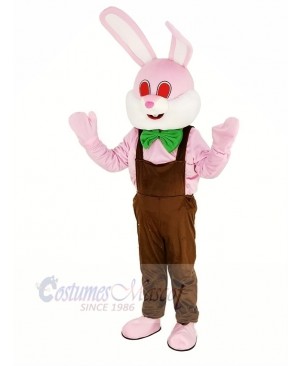 Easter Pink Robbie Rabbit Mascot Costume