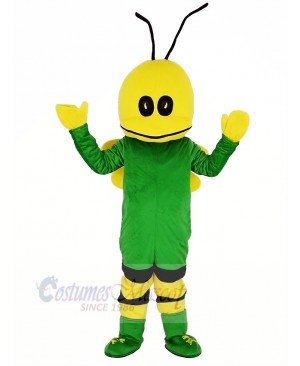 Green Bee Mascot Costume Cartoon