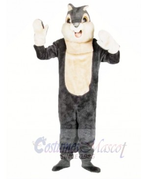 Cute Grey Squirrel Mascot Costumes 