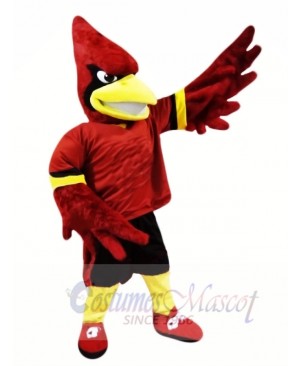 College Cardinal Mascot Costumes
