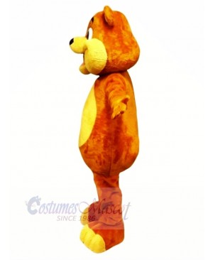 Quality Brown Bear Mascot Costumes Cartoon