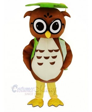 Brown Owl with Green Graduation Cap Mascot Costume Animal