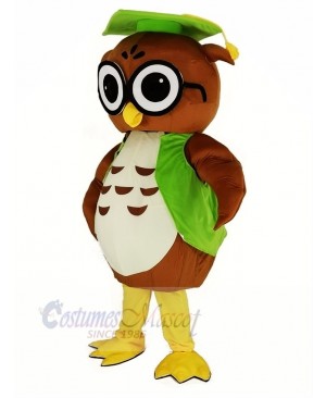 Brown Owl with Green Graduation Cap Mascot Costume Animal