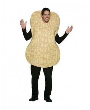 High Quality Adult Peanut Mascot Costume